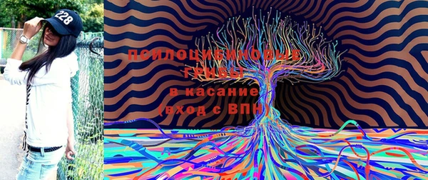дистиллят марихуана Касимов