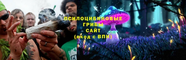 твердый Карпинск