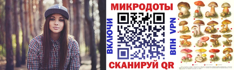 Галлюциногенные грибы Psilocybine cubensis  Княгинино 
